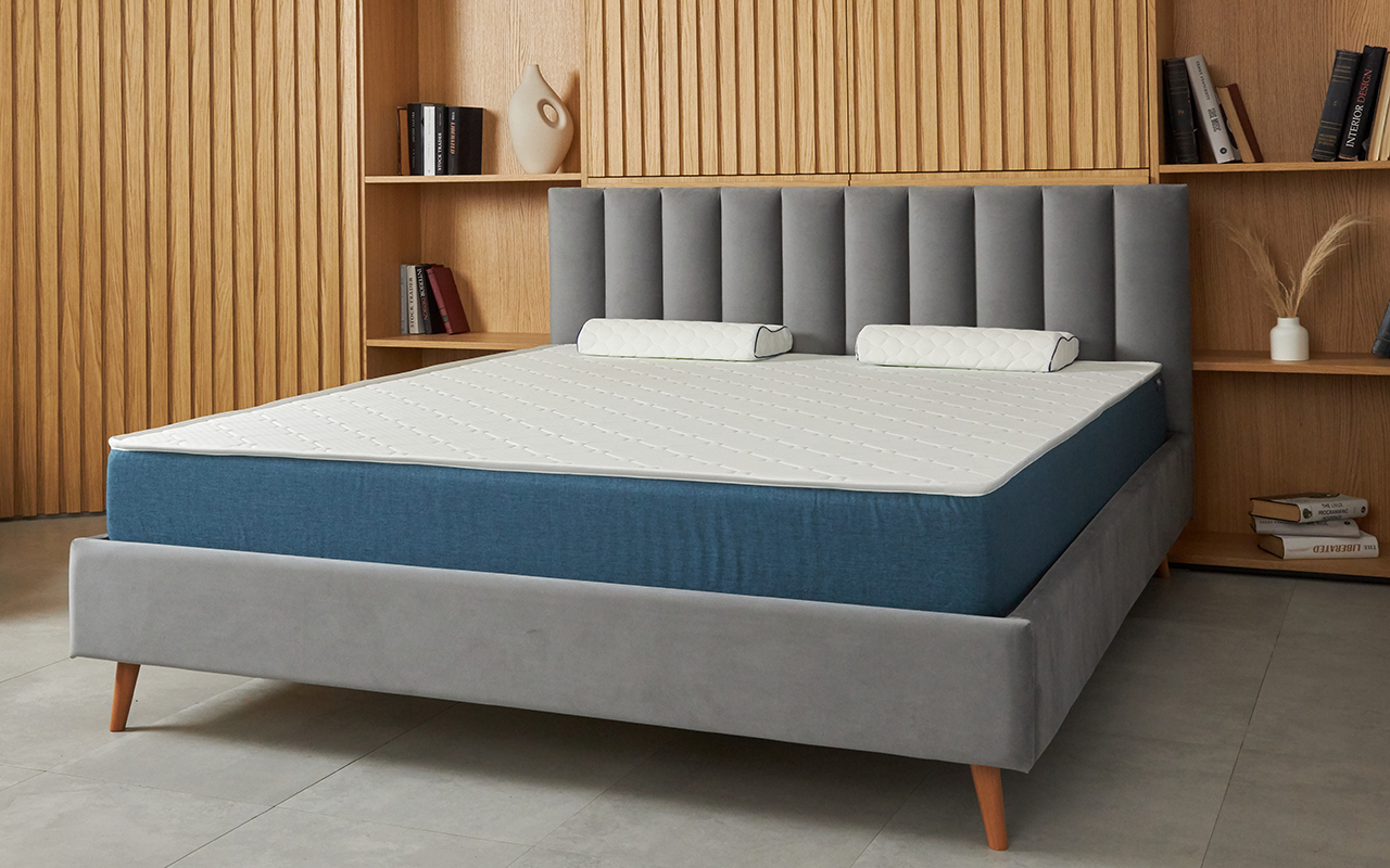 Dimax Практик Чип Ролл 10 кокос фото 8